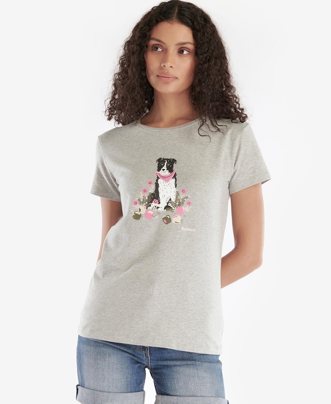 Women's Barbour Beacons T Shirts Grey | NWMK-23504